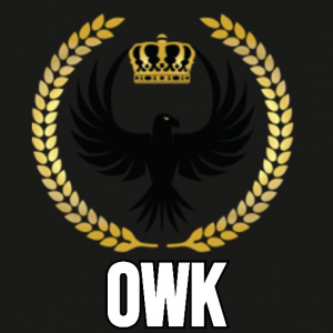 Owk — RR - Parties and Teams option 38