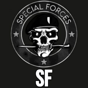 RR - Parties and Teams — option 47