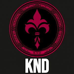 Zzzzz 16954990297knd — RR - Parties and Teams option 73