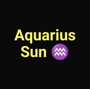 Screenshot20230630 0140422 — Zodiac Big 6 Placements option 11