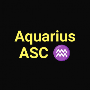 Screenshot20230630 0143162 — Zodiac Big 6 Placements option 23