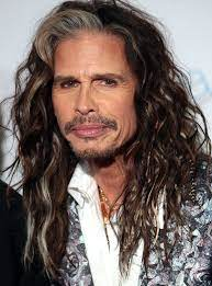 Steven Tyler — Greatest rock singers of all time option 35