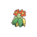 Bellossom — Pokemon XY Pokedex option 24