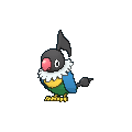 Chatot — Pokemon XY Pokedex option 34