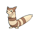 Furret — Pokemon XY Pokedex option 75