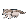 Linoone — Pokemon XY Pokedex option 124