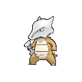 Marowak — Pokemon XY Pokedex option 137