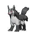 Mightyena — Pokemon XY Pokedex option 144
