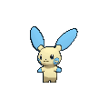 Minun — Pokemon XY Pokedex option 146