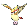 Pidgeot — Pokemon XY Pokedex option 160