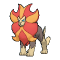 Pyroar — Pokemon XY Pokedex option 167