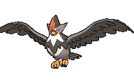 Staraptor — Pokemon XY Pokedex option 206