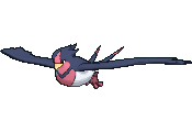 Swellow — Pokemon XY Pokedex option 213