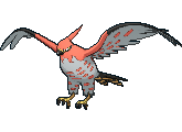 Talonflame — Pokemon XY Pokedex option 216