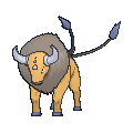 Tauros — Pokemon XY Pokedex option 217