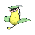 Victreebel — Pokemon XY Pokedex option 231