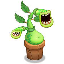 Potbelly — Plant island MSM option 20