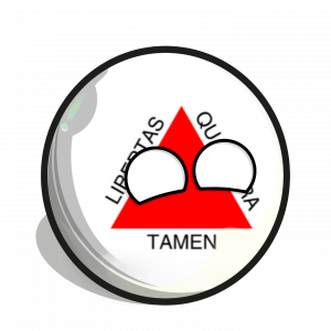 Sticker20230408t171204 — Estados do brasil countryballs option 12