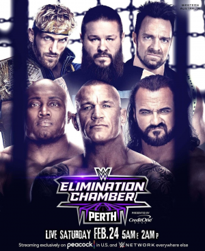 Zzzzz 17081443931000020079 — WWE Triple H PPV matches option 117