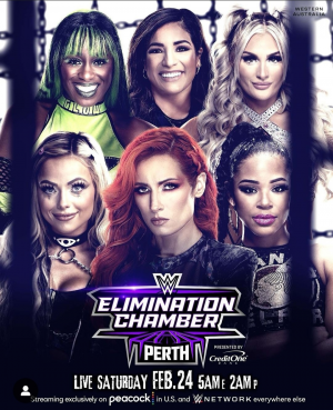 Zzzzz 17084042631000020150 — WWE Triple H PPV matches option 119