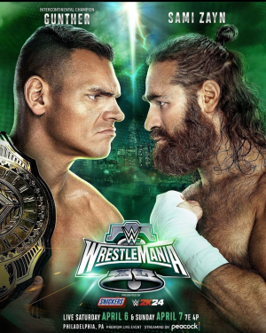 Zzzzz 17102143651000020900 — WWE Triple H PPV matches option 125