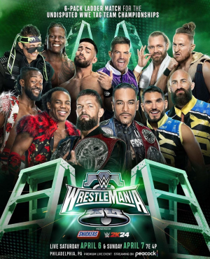 Zzzzz 17117685541000021790 — WWE Triple H PPV matches option 129