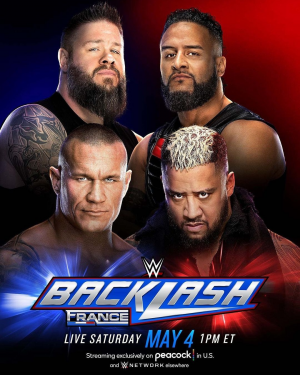 Zzzzz 17141883321000022756 — WWE Triple H PPV matches option 135
