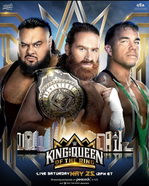Zzzzz 17150805161000023278 — WWE Triple H PPV matches option 139