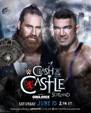 Zzzzz 17175287601000023934 — WWE Triple H PPV matches option 146