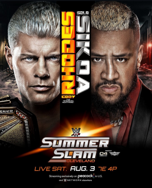 Zzzzz 17212583831000053323 — WWE Triple H PPV matches option 154