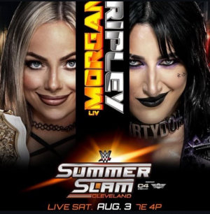 Zzzzz 17215189711000053383 — WWE Triple H PPV matches option 156