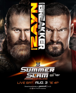 Zzzzz 17217060161000053430 — WWE Triple H PPV matches option 159