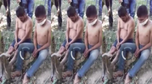 Zzzzz 1694825648no Mercy In Mexico Video Footage Leaked 1024x573 — Gore Videos option 16
