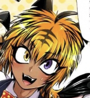 Img5857 — ALL Nanbaka Characters! option 13
