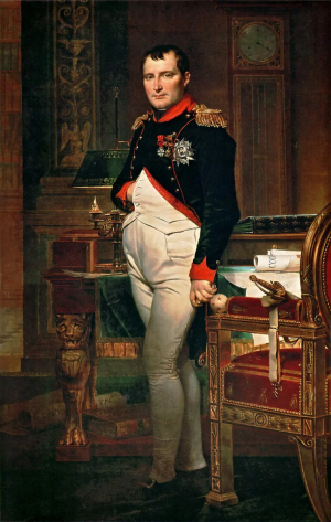 Napoleao Bonaparte 768x1213jpg — Maiores Líderes da História da Humanidade option 31