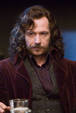 3f350bce3b2549c9a09dff3945a68561 — Classifique os personagens de Harry Potter option 11