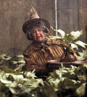 5ec5d3f8601ab3b7226b5ba412044913 — Classifique os personagens de Harry Potter option 19