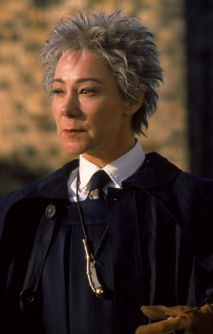9a71515a562788fce337584a82b23411 — Classifique os personagens de Harry Potter option 35