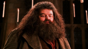 Hagrid Robbie Coltrane Em A Saga Harry Potter Reproducao11 — Classifique os personagens de Harry Potter option 62