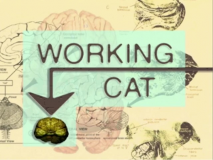 103workingcat — Oggy and the Cockroaches: Season 2 Episodes option 4