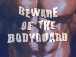 104bewareofthebodyguard — Oggy and the Cockroaches: Season 2 Episodes option 5