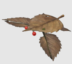 Desiccatedskitterleafpng — Every Pikmin Enemy (August 2023) option 49