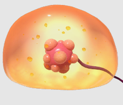 Foolixpng — Every Pikmin Enemy (August 2023) option 76