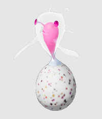 Honeywisppng — Every Pikmin Enemy (August 2023) option 98