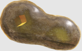 Mysteriouslifeformpng — Every Pikmin Enemy (August 2023) option 129
