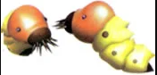 Ravenouswhiskerpillarpng — Every Pikmin Enemy (August 2023) option 150