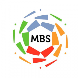 Saudi — FIFA Career Mode Leagues option 26