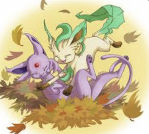 4f2c4ea2 4b94 464c 91f6 45a88893e415 — Eeveelutions ships option 11