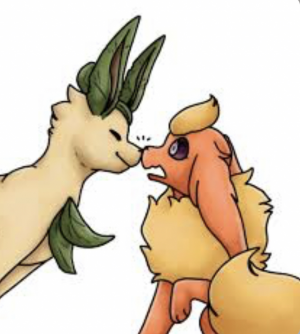 B3d6efdf 8245 44a8 A598 A2414d97d661 — Eeveelutions ships option 23