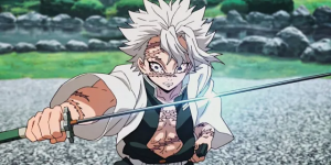 Qual Respiração de Demon Slayer você queria ter? — option 11